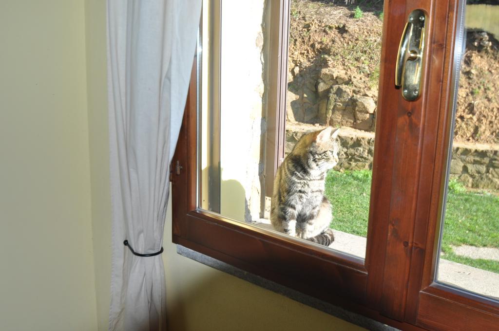 Agriturismo Il Cerrosughero Villa Scarlino Oda fotoğraf
