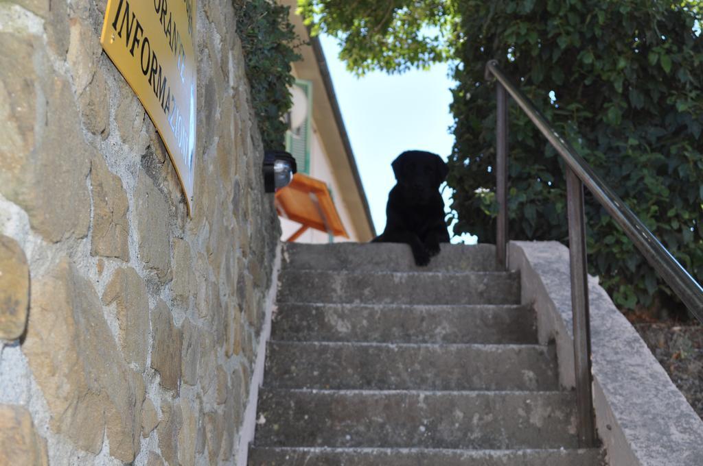 Agriturismo Il Cerrosughero Villa Scarlino Dış mekan fotoğraf