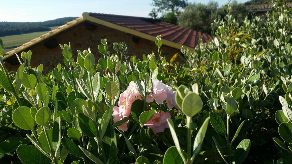 Agriturismo Il Cerrosughero Villa Scarlino Dış mekan fotoğraf